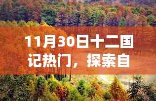 纲挈目张 第4页