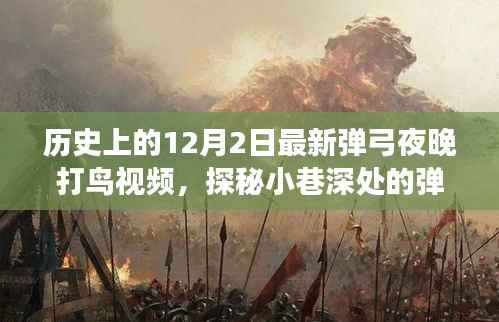 探秘弹弓夜猎胜地,揭秘最新夜晚打鸟视频背后的故事与弹弓夜晚的神秘魅力