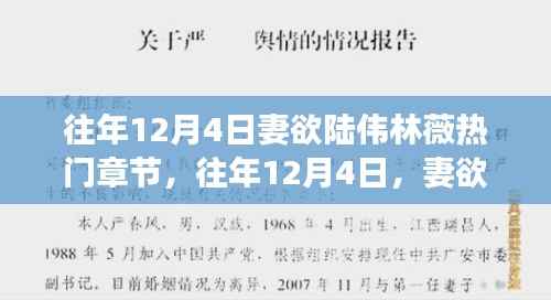 往年12月4日妻欲陆伟林薇,自信与成就感的励志篇章