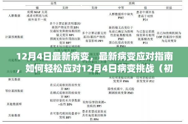 12月4日病变应对指南,初学者与进阶用户轻松应对挑战