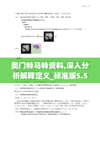 奥门特马特资料,深入分析解释定义_标准版5.571