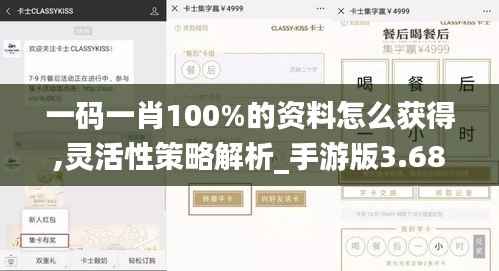 一码一肖100%的资料怎么获得,灵活性策略解析_手游版3.682