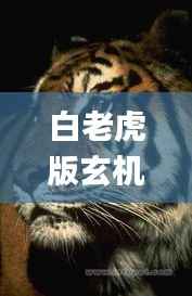 白老虎版玄机资料大全免费,多样化策略执行_4K版4.579