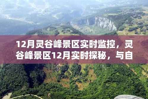 媒体报道 第353页