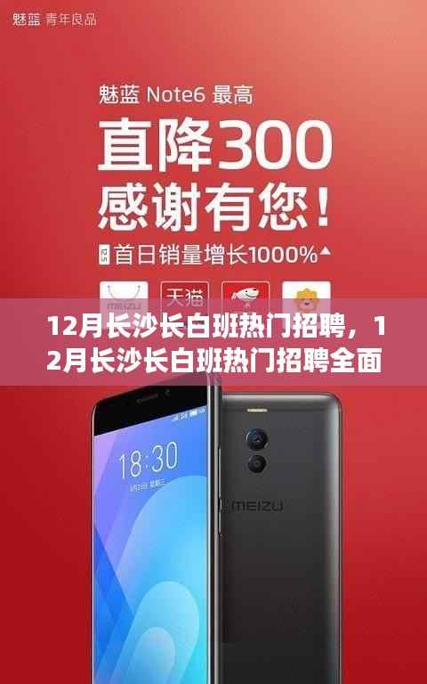 成功案例 第318页