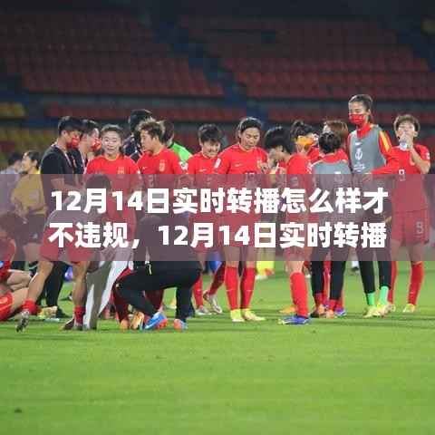 12月14日实时转播合规指南,如何避免违规进行在线直播