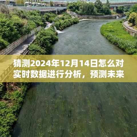 揭秘2024年12月14日数据分析之道,实时预测与未来洞察