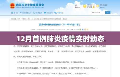 肺炎疫情实时动态，关注十二月首例病例