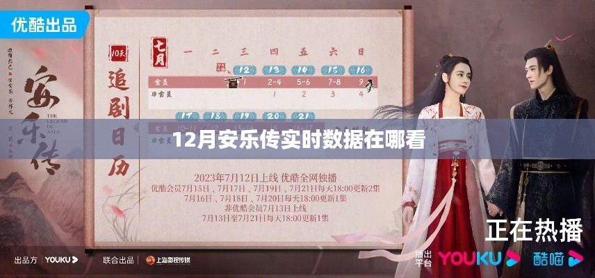 安乐传12月实时数据查看指南