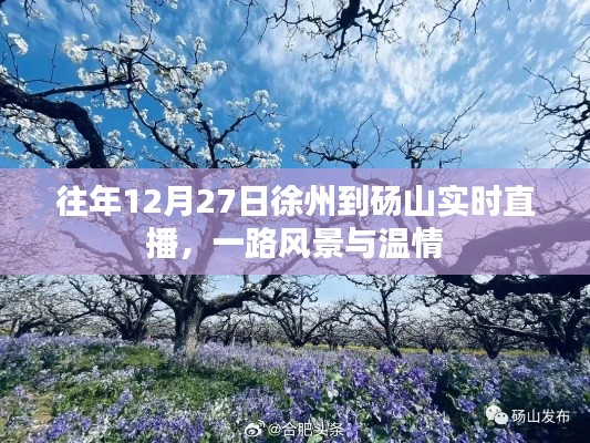 徐州至砀山暖心直播,冬日路上的风景与温情