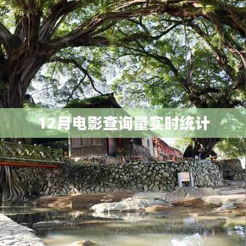 成功案例 第230页