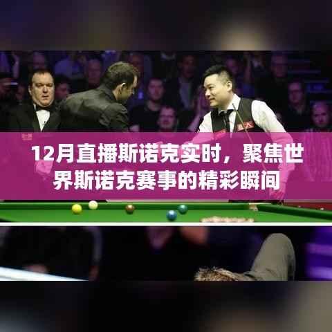 聚焦斯诺克赛事精彩瞬间，实时直播不容错过
