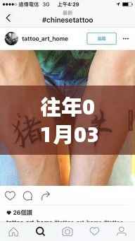 公司概况 第203页