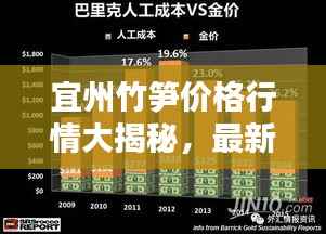宜州竹笋价格行情大揭秘,最新报价与走势分析!