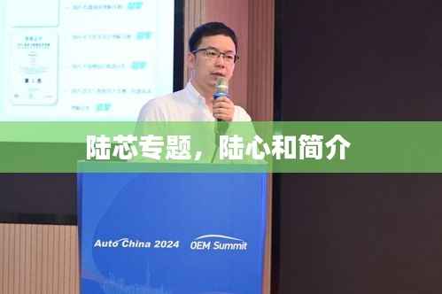 陆芯专题,陆心和简介