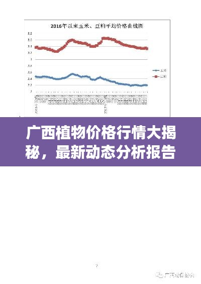 广西植物价格行情大揭秘,最新动态分析报告!
