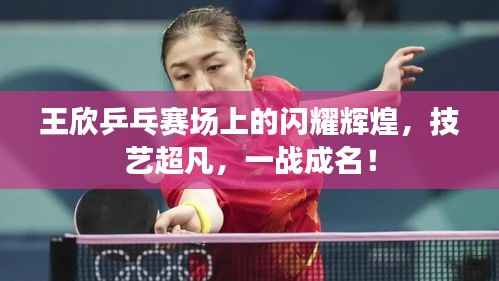 王欣乒乓赛场上的闪耀辉煌,技艺超凡,一战成名!