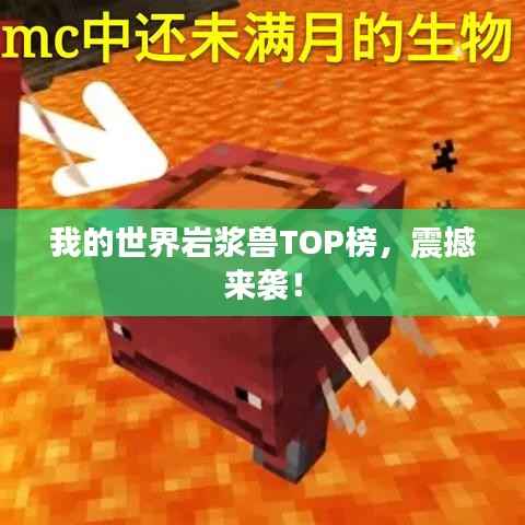 我的世界岩浆兽TOP榜，震撼来袭！