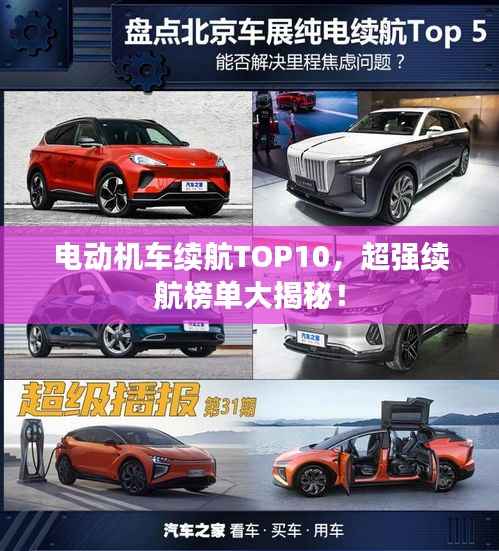 越鸟南栖 第2页