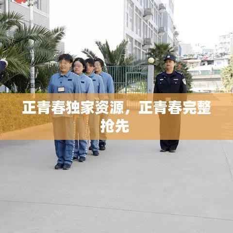 资料中心 第141页