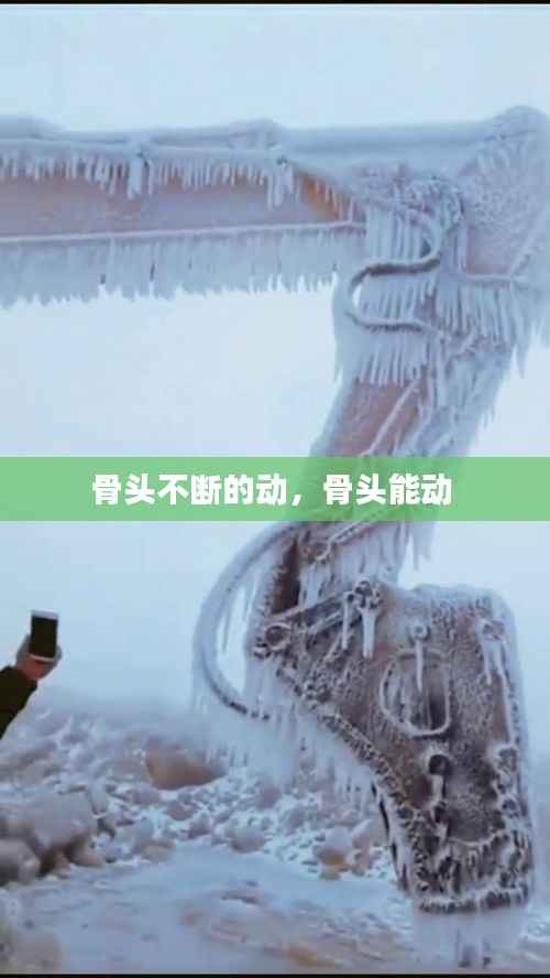 骨头不断的动,骨头能动