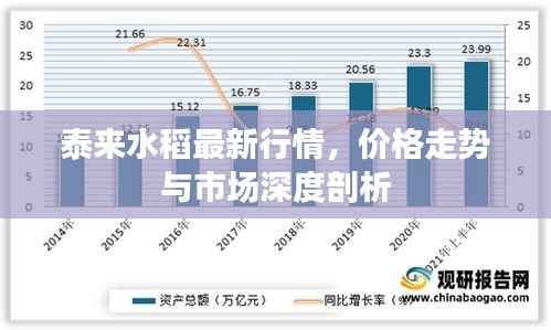泰来水稻最新行情，价格走势与市场深度剖析