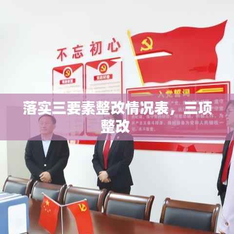 落实三要素整改情况表,三项整改