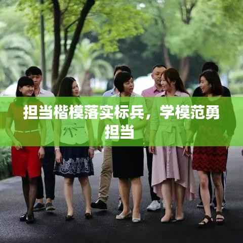 担当楷模落实标兵,学模范勇担当