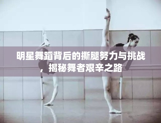 明星舞蹈背后的撕腿努力与挑战，揭秘舞者艰辛之路