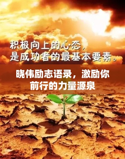 媒体报道 第96页