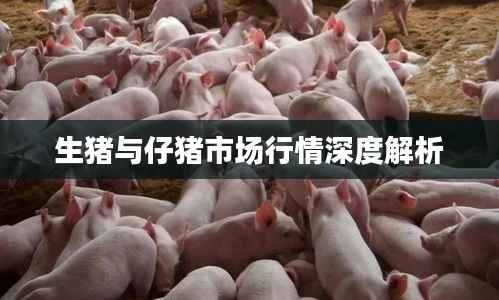 生猪与仔猪市场行情深度解析